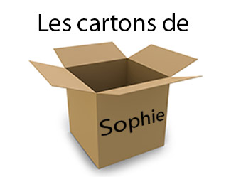 Les cartons de Sophie